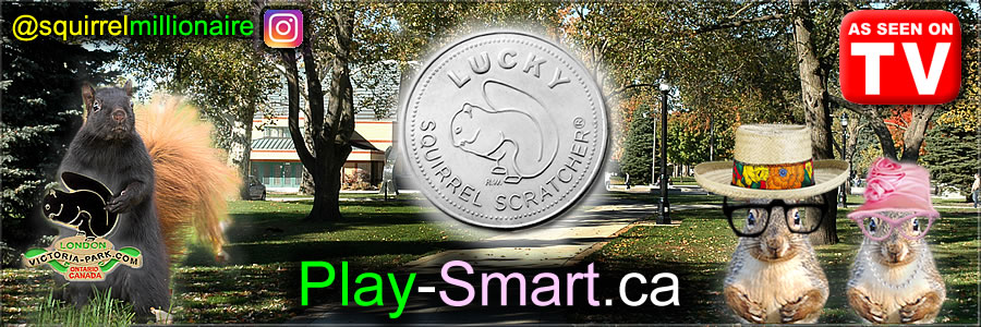 Play-Smart.ca - You can BUY This Domain Name or purchase some of our Lucky Lottery Charm&reg; products